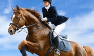 Верхом на лошади: как правильно садиться, этапы и техника седловки,  тонкости управления